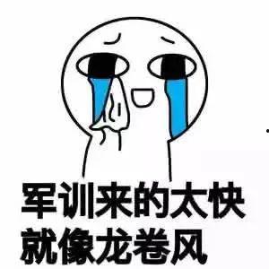 什么时候能实现吃瓜群众,吃瓜群众时代的来临