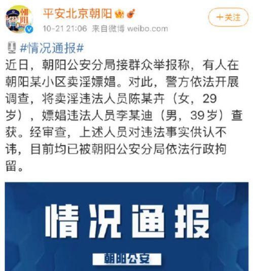 朝阳群众吃瓜网址查询,吃瓜网站背后的故事与影响