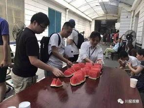 盐城吃瓜群众图片,吃瓜群众的欢乐时光