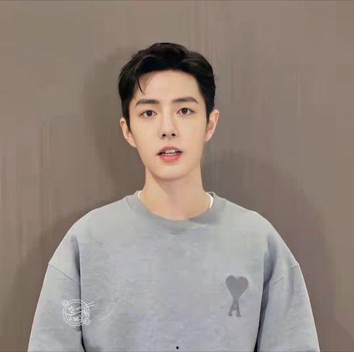 肖战的吃瓜群众,从吃瓜群众到流量担当的蜕变之路