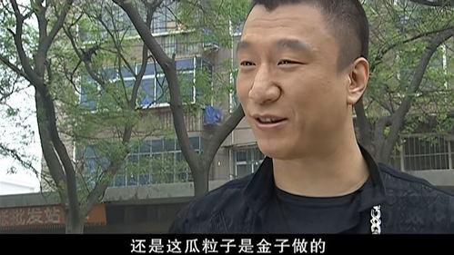 襄县吃瓜群众事件真相揭秘,真相背后的真相揭露