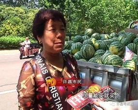 吃瓜群众新疆海南对比,南北风光大对比
