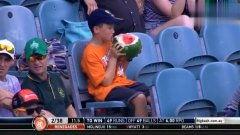 韩国足球吃瓜群众是谁啊,揭秘幕后风云人物