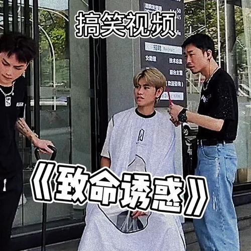 吃瓜群众纪实视频,吃瓜群众视角下的瓜界风云录