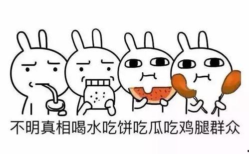有原则的吃瓜群众叫什么,网络舆论场中的理性守护者