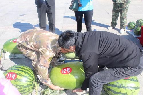 吃瓜群众落幕,一场全民娱乐的狂欢盛宴