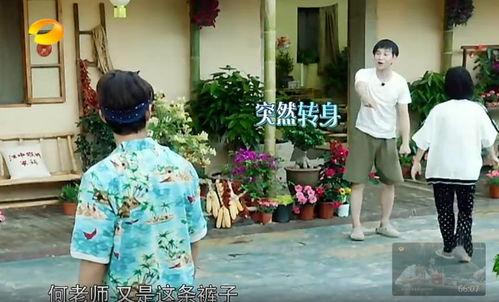 射阳吃瓜群众事件真相,真相与反思