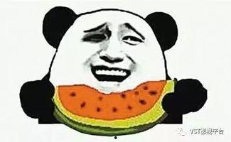吃瓜群众是些什么人,他们是谁,为何如此热衷于围观娱乐圈