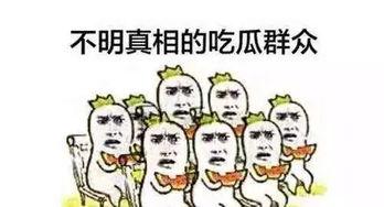 我的抖音吃瓜群众,揭秘网络热点背后的真相