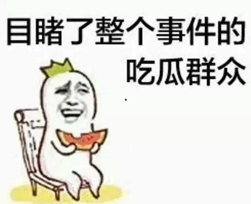 吃瓜群众公基,吃瓜群众视角下的公共基础知识概览
