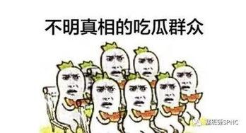 吃瓜群众看老鼠
