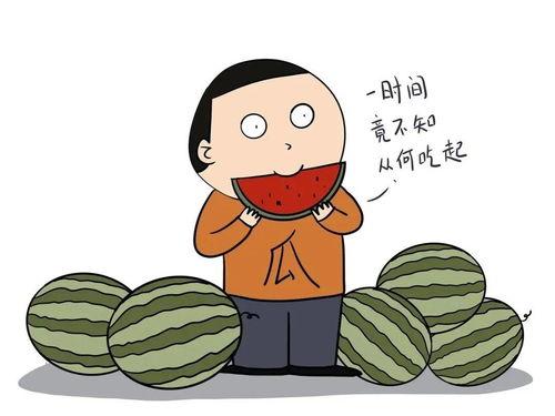 暖心吃瓜群众怎么说话,趣味横生的网络社交现象解析