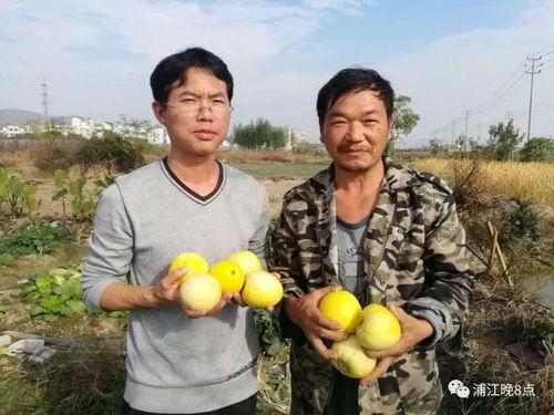 吃瓜群众5795,一场全民参与的舆论风暴