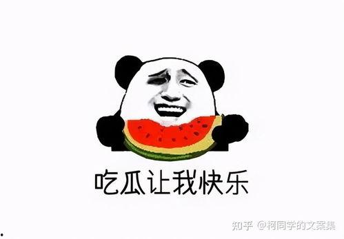 是你永远得不到吃瓜群众,你永远无法触及的神秘领域