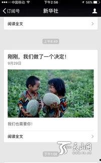 全网寻找吃瓜群众,揭秘吃瓜群众的狂欢盛宴