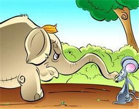 吃瓜群众小老鼠,揭秘娱乐圈那些事儿