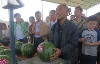 老姨夫吃瓜群众,揭秘娱乐圈幕后故事