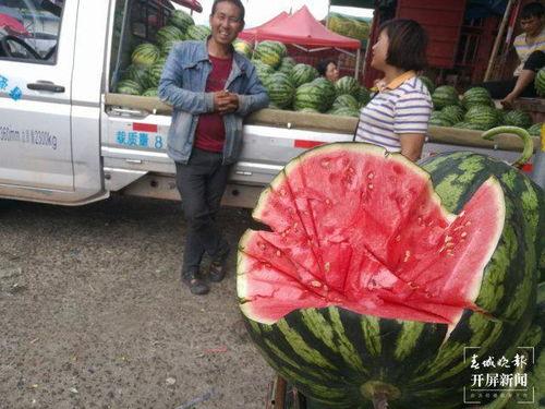 东北城市吃瓜群众,吃瓜群众的欢乐盛宴