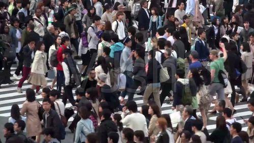 围观看戏的吃瓜群众视频,戏里戏外,谁才是真正的“吃瓜群众”?