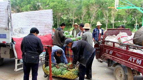 瓮安县吃瓜群众的由来,瓮安县“吃瓜群众”现象背后的社会观察